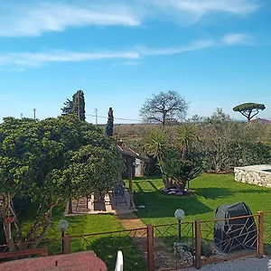 Belloretta - Il Renaione Donoratico
