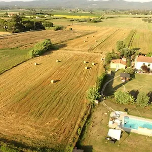 Il Bosco Donoratico